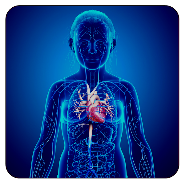 Differential Diagnosis of Common Pediatric Cardiovascular Disorders