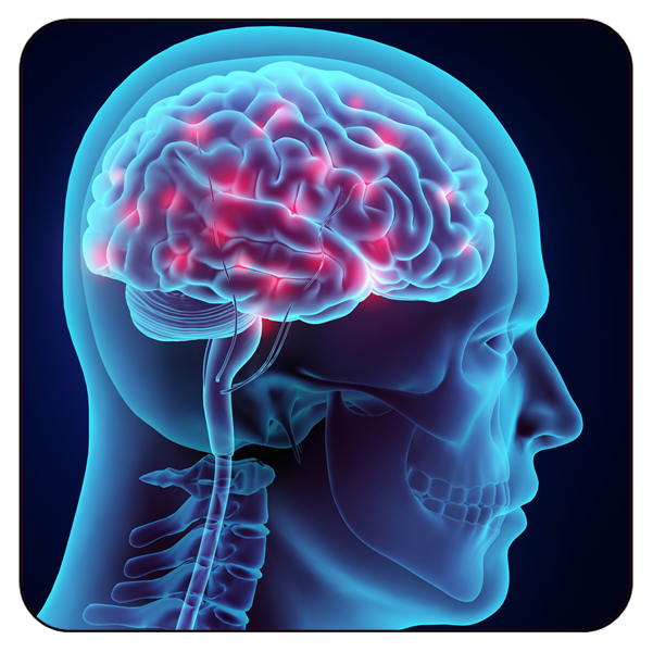 Differential Diagnosis Of Common Adult Neurologic Disorders - Barkley ...