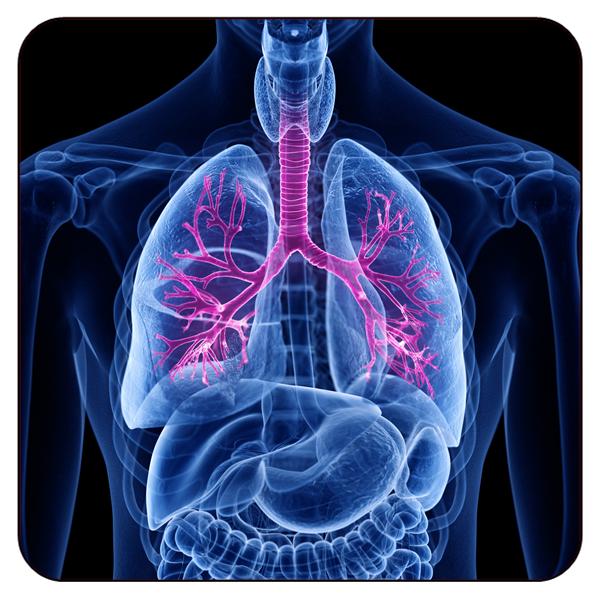 Differential Diagnosis of Common Pulmonary Disorders